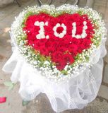 Ǩʻٵ